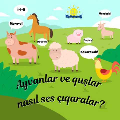 Ayvanlar