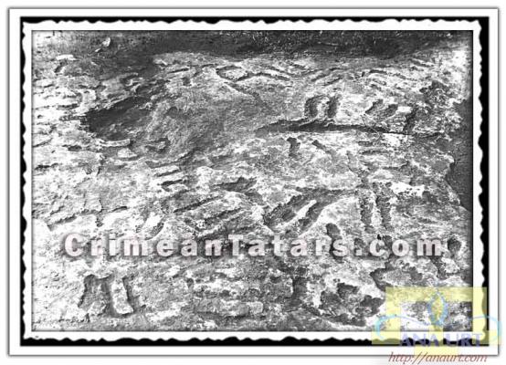 происхождении этих тамг